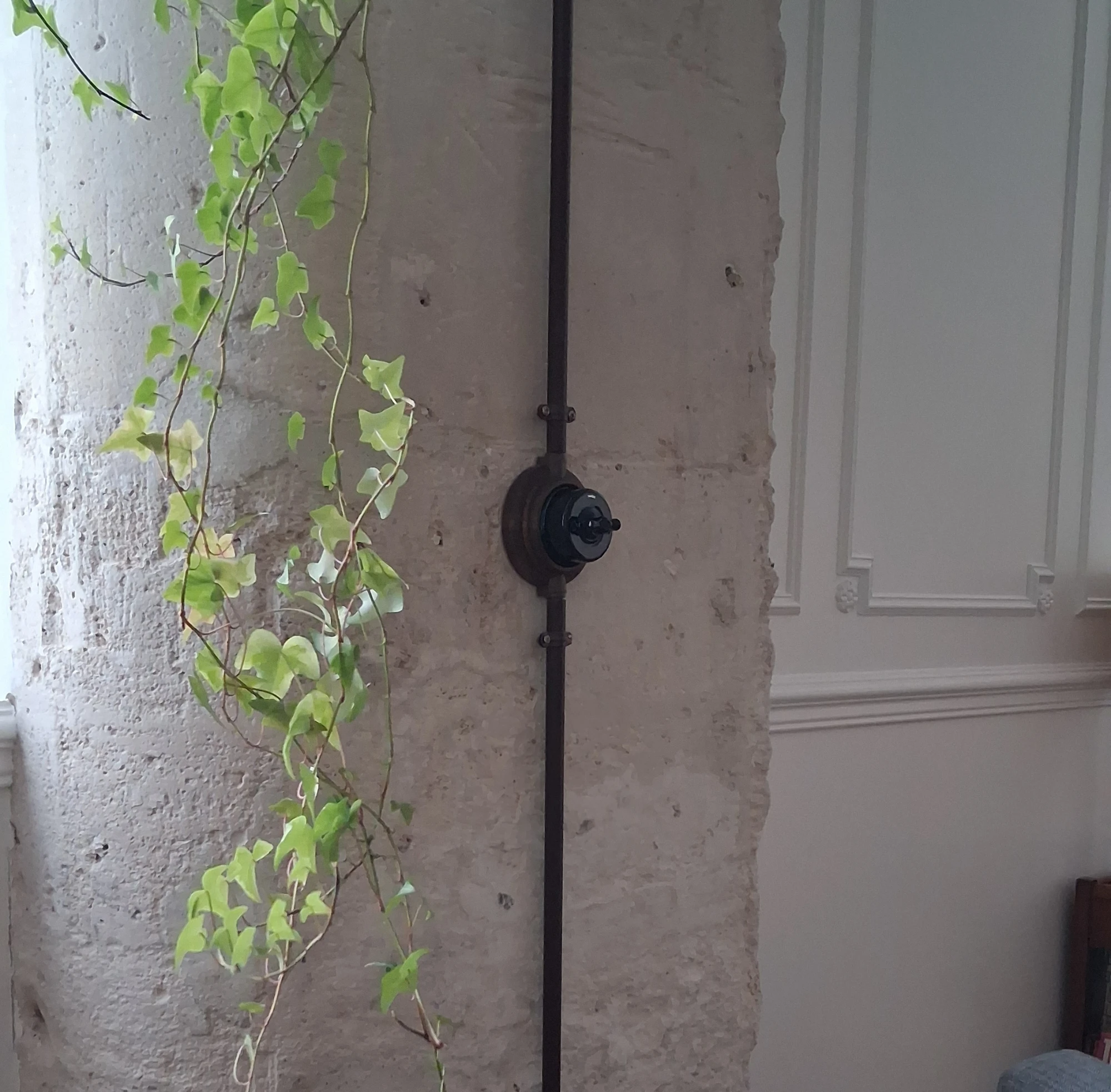 un interrupteur sur un mur en brique avec du lierre en pot
